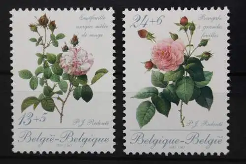 Belgien, MiNr. 2370-2371, postfrisch - 203870