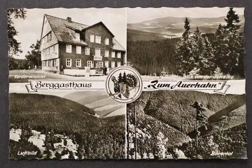 Auerhahn, Berggasthaus, Luftbild, Blick von der Schalke, Bärental - 424545