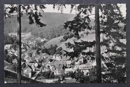 Bad Grund, Oberharz, Blick vom Knollen zum Ort - 424345