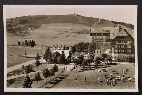 Feldberg, Schwarzwald, Blick zum Hotel Feldberghof - 424575