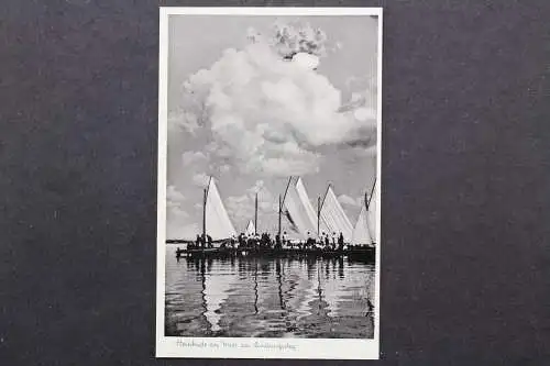 Steinhude am Meer, am Landungssteg, Segelboote - 424461