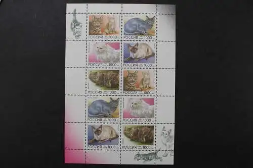 Russland, MiNr. 485-489 Kleinbogen, postfrisch - 214380