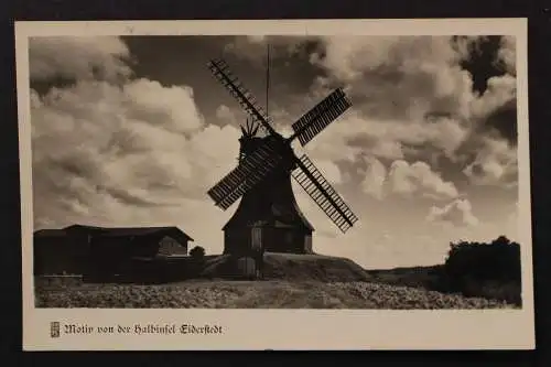 Eiderstedt, Windmühle - 424878