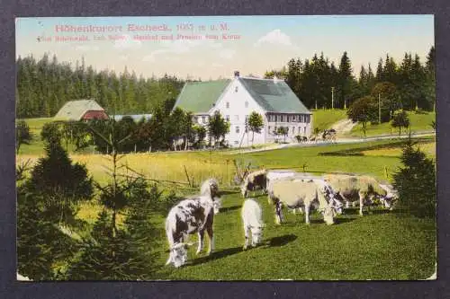 Escheck, Gasthof und Pension zum Kreuz - 424874