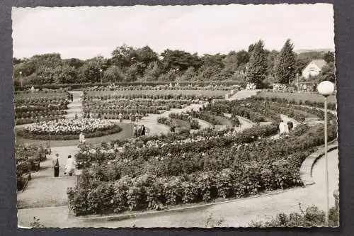 Essen, GRUGA, Dahlienarena - 424901