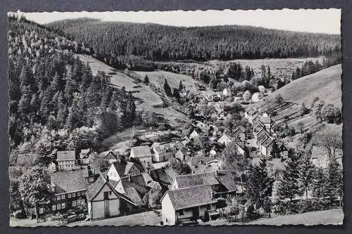 Wildemann, Oberharz, Spiegeltal, Blick auf den Ort - 425017
