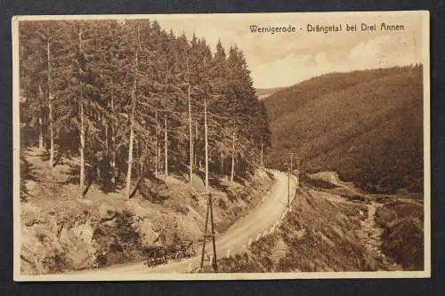 Wernigerode, Drängetal bei Drei Annen, Landstrasse mit Pferdefuhrwerk - 425005