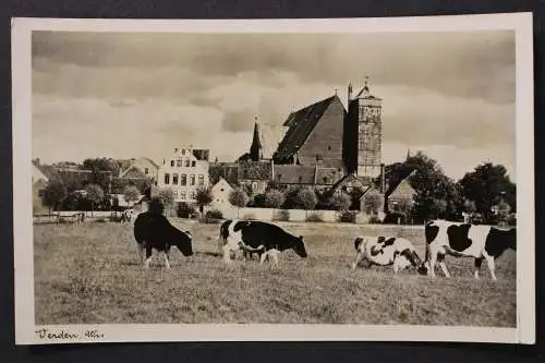 Verden, Aller, Dom, Weide Kühe - 425106
