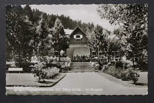 Todtmoos, im Kurpark - 425159