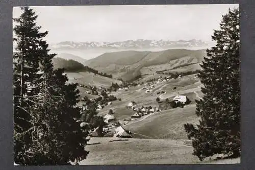 Todtnauberg, Hochschwarzwald, Blick zu den Alpen - 425160