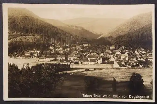 Tabarz, Thür. Wald, Blick von Deysingslust - 425168