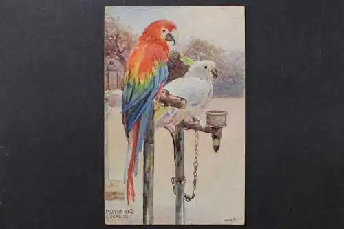 Papagei und Kakadu, Gemälde - 425222