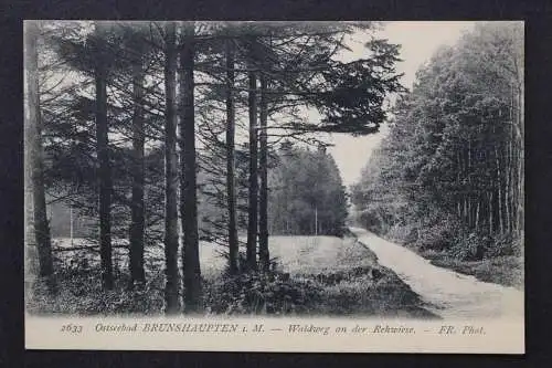 Ostseebad Brunshaupten, Waldweg an der Rehwiese - 425263
