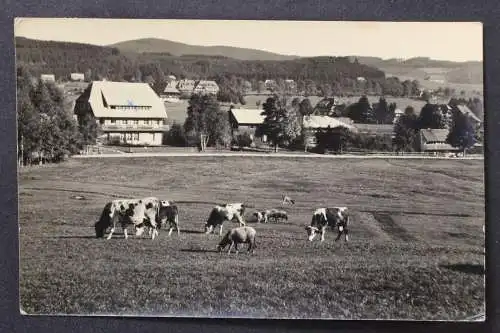 Hinterzarten, Schwarzwald, Wiese, Ortsansicht - 425351