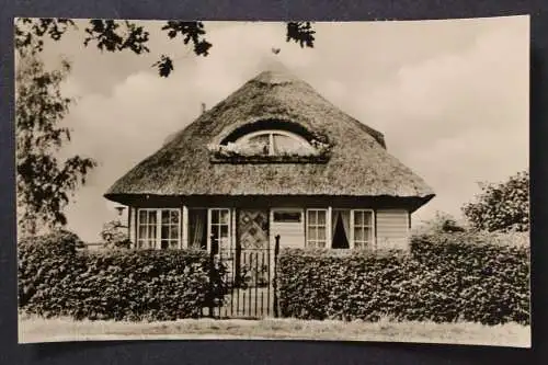 Ostseebad Zingst, Haus "Up Fri wach" in der Störtebeckerstraße - 425391