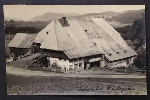 Hinterzarten, Lockeleshof - 425350