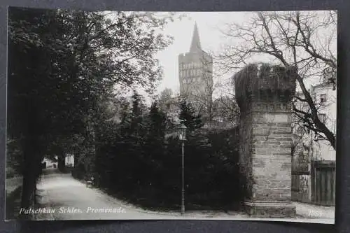 Patschkau/Schlesien, Promenade - 425534