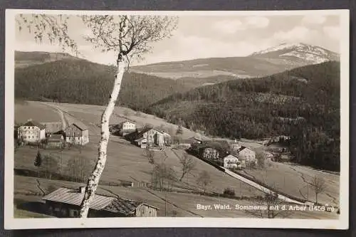 Eschau, Sommerau, Blick zum Ort mit Arber - 425615
