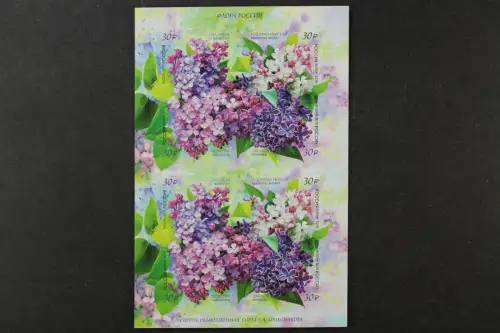 Russland, MiNr. 2546-2549 Folienblatt, postfrisch - 215508