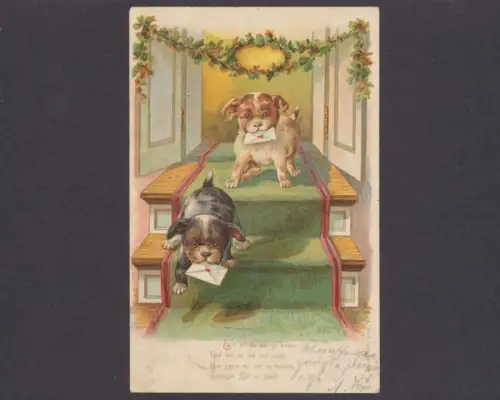 2 niedliche Hunde mit Briefen, Karte mit Vers - 403411