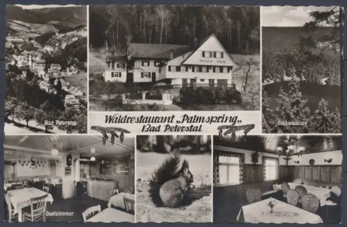 Bad Peterstal, Waldrestaurant "Palmspring" Bes. Josef Erdrich - 412236