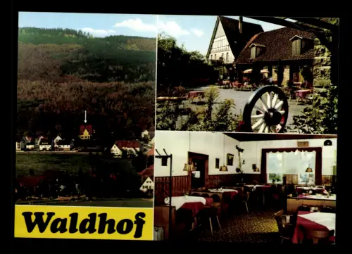 Hameln, Hotel und Pension Waldhof - 413914