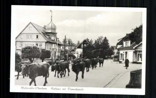 Hahnenklee, Oberharz, Rathaus mit Damenkapelle (Rinder) - 416534