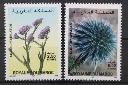 Marokko, MiNr. 1422-1423, postfrisch - 661735