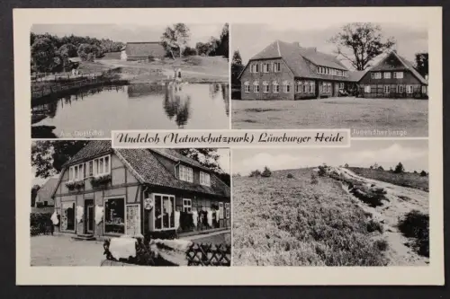 Undeloh, Lüneburger Heide, Dorfteich, Jugendherberge, Fell-Geschäft - 425143