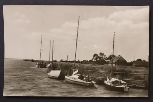 Ostseebad Zingst, Segelbrücke - 425388