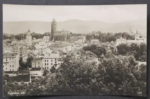 Patschkau/Schlesien, Teilansicht, Kirche - 425526