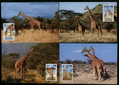 Kenia, MiNr. 481-484, Maximumkarten - 608568