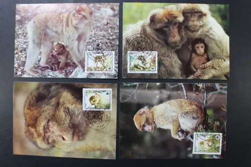 Algerien, MiNr. 972-975, Maximumkarten - 218083