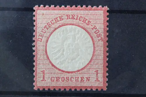 Deutsches Reich, MiNr. 19, ungebraucht, BPP Fotobefund - 219913