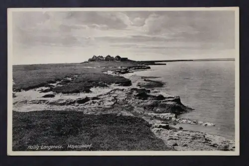 Hallig Langeness, Mayenswarf - 425686