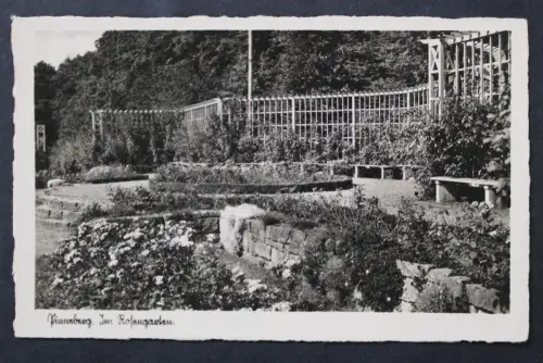 Pinneberg, im Rosengarten - 425680