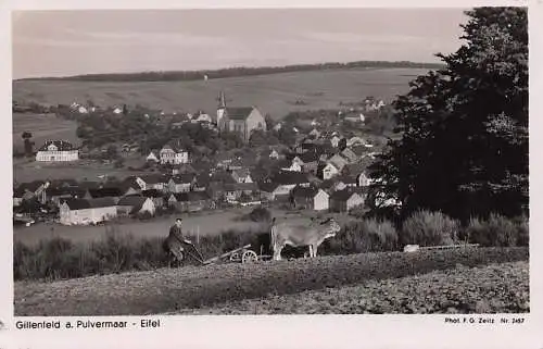 AK Gillenfeld Eifel Pulvermaar b Gerolstein Hillesheim Kirchweiler Ulmen Ackerbau Zugtiere Felder am Stadtrand ca 40er 50er Jahre