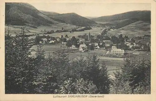 Ansichtskarte Sauerland Saalhausen Luftkurort versandt 1931