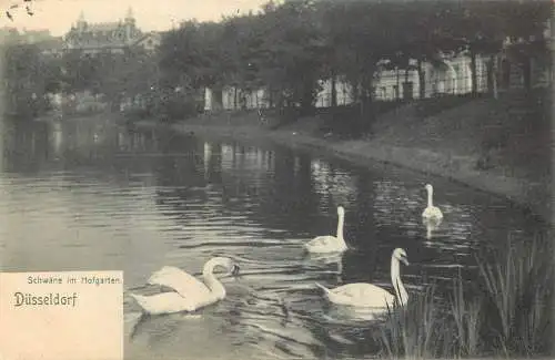 Ansichtskarte Düsseldorf Hofgarten Schwäne versandt 1905