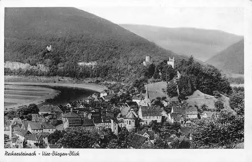 AK Neckarsteinach Vier Burgen Blick von Otto Mentzel