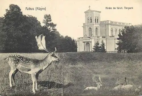 AK - Putbus (Rügen) Kirche im fürstlichen Tierpark