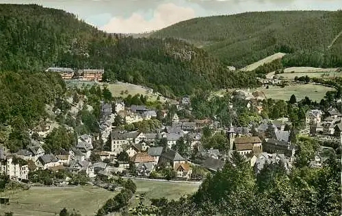 Ak, Blick auf das Dorf Herrenalb im Schwarzwald, 1954