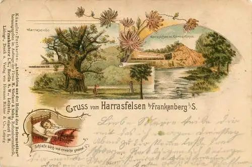 Ansichtskarte Lithographie Frankenberg  Gruss vom Harrasfelsen in Sachsen