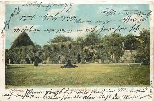 Ansichtskarte Grimma Kloster Ruin Nimbschen versandt 1905