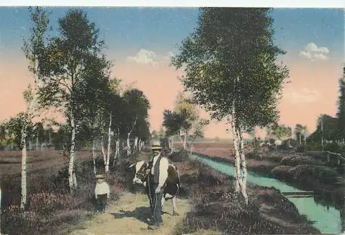 Ansichtskarte Lüneburger Heide Landwirt datiert 1916