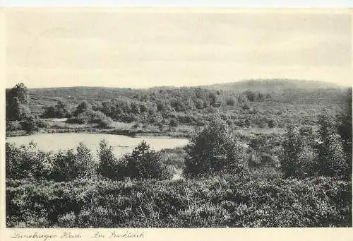 Ansichtskarte Lüneburger Heide Am Fischteich versandt