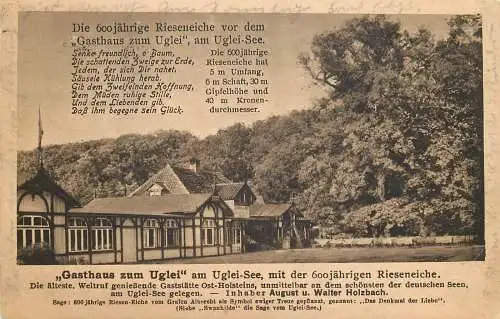 Ansichtskarte Uglei Gasthaus zum Uglei mit der Rieseneiche versandt 1933
