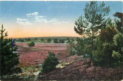 Ansichtskarte Lüneburger Heide nicht versandt 1917