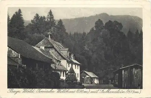 Ansichtskarte Zwieseler Waldhaus am Falkenstein nicht versandt