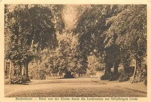 Ansichtskarte Bordesholm Lindenallee Blick von der Kirche versandt 1939